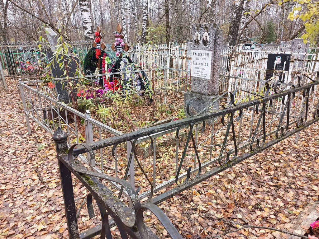 Гладких Н П