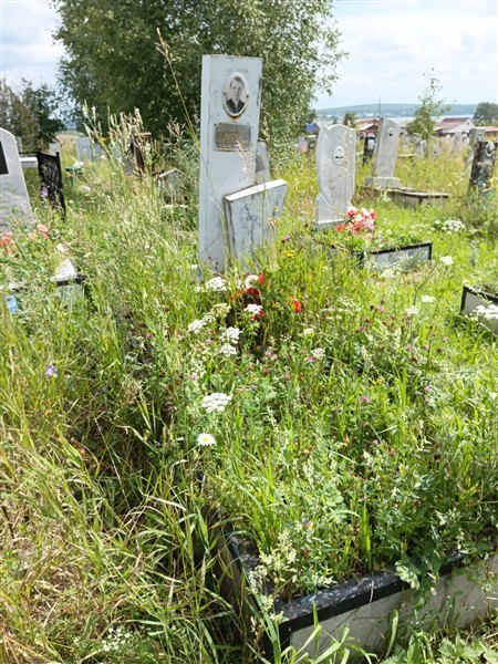 Силуянова Римма Николаевна