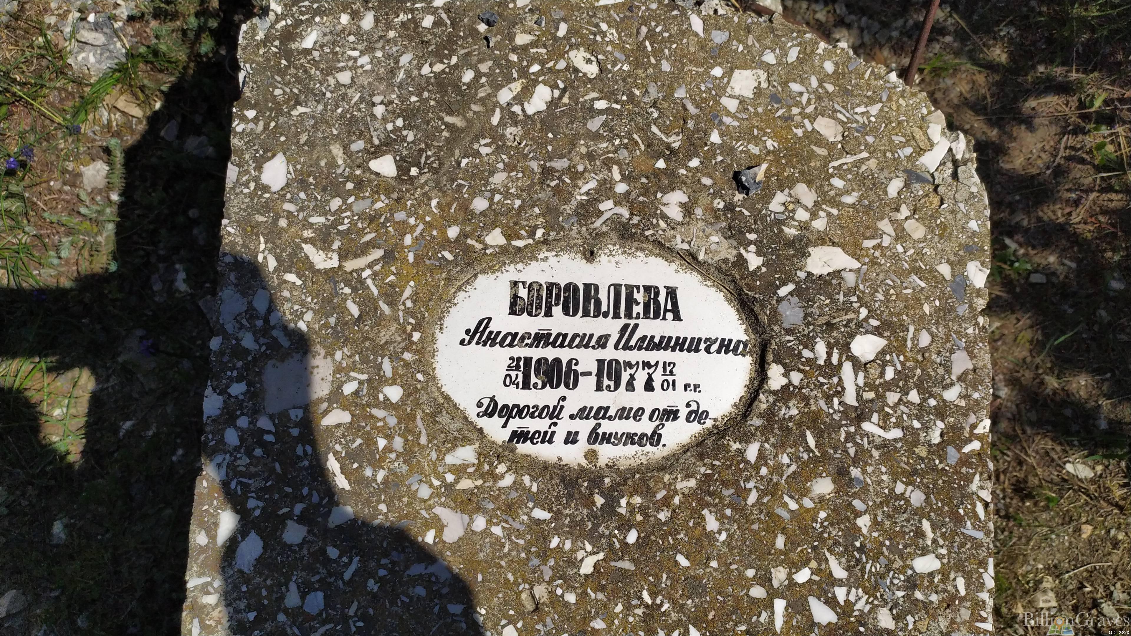 Боровлева Анастасия Ильинична