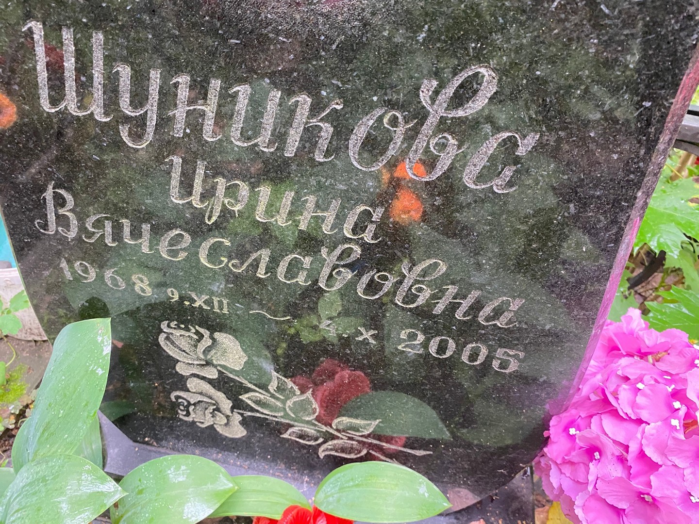 Шуникова