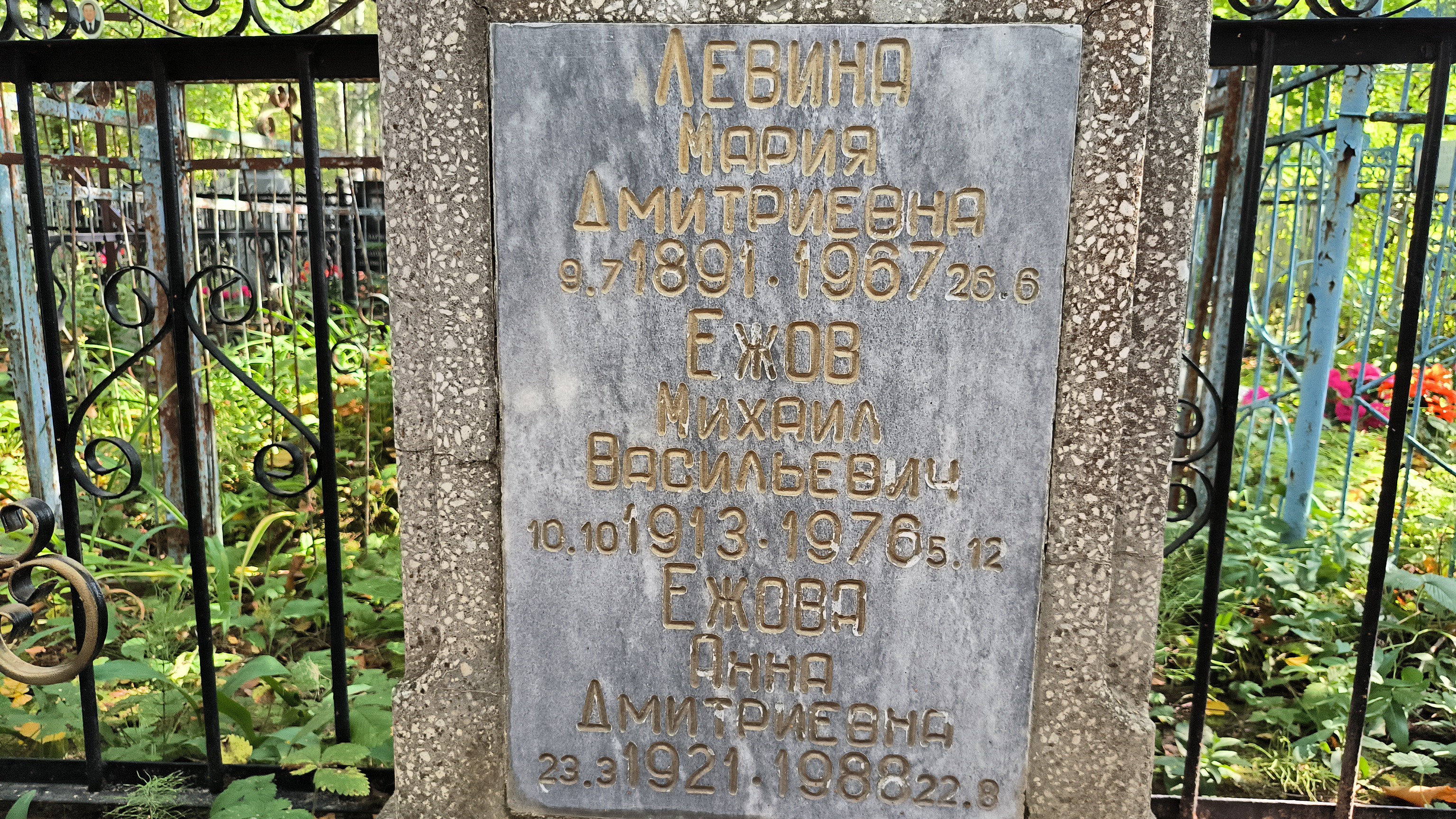 Ежова Анна Дмитриевна