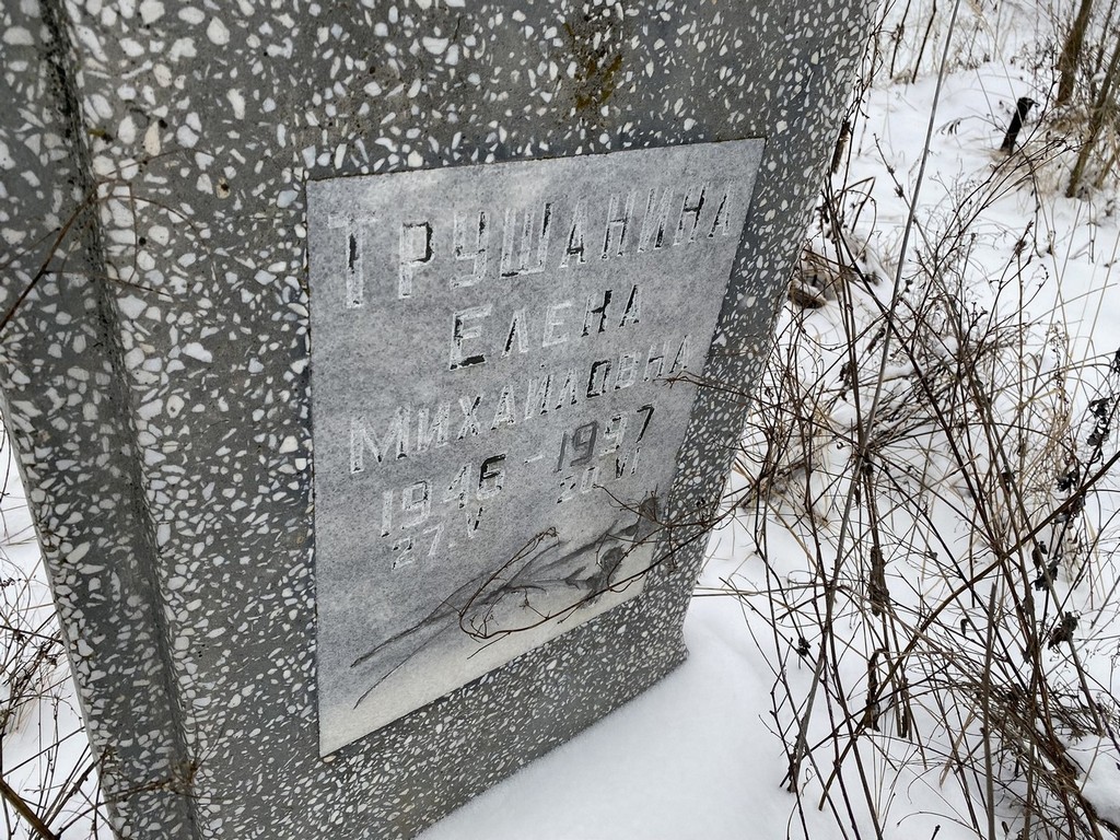 Трушанина Елена Михайловна
