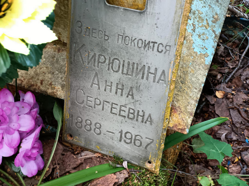 Кирюшина Анна Сергеевна