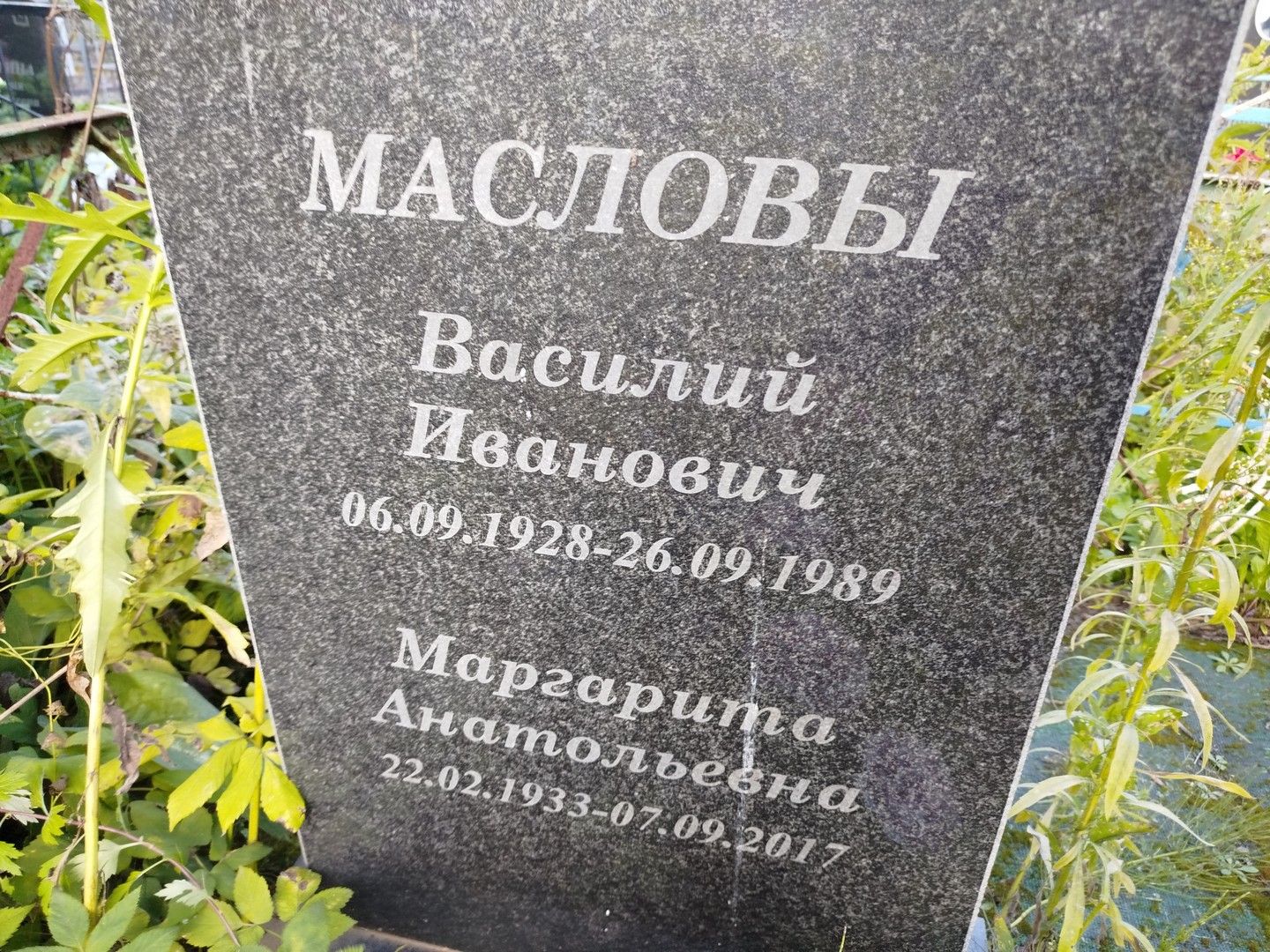 Маслова