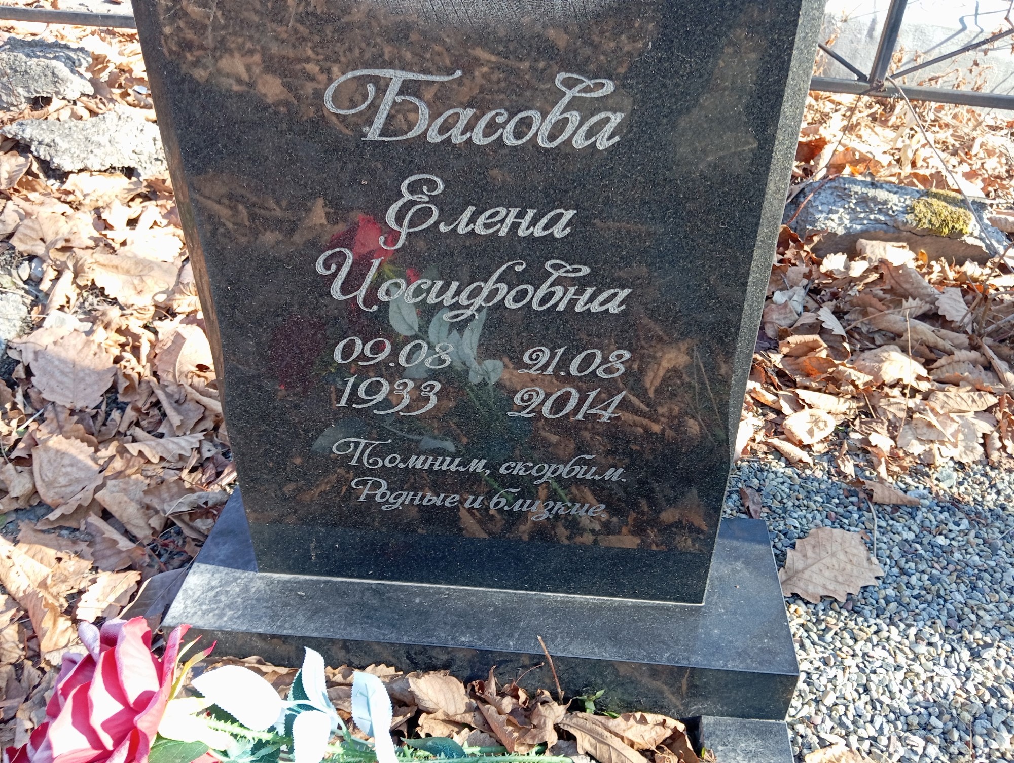 Басова Елена Иосифовна