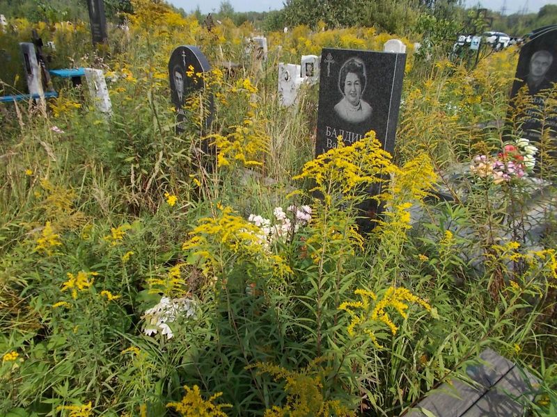 Балдина Валентина Михайловна