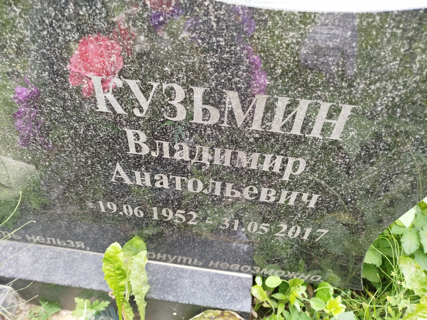 Кузьмин
