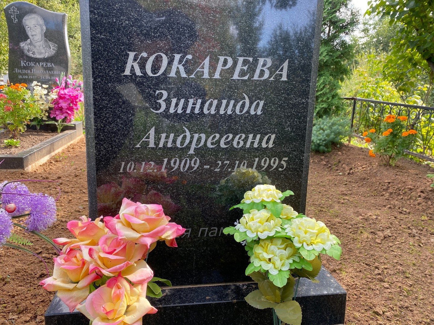 Кокарева
