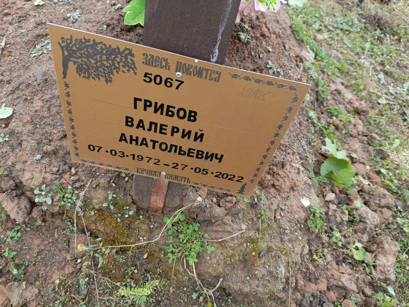 Грибов
