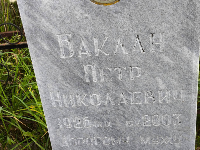 Баклан
