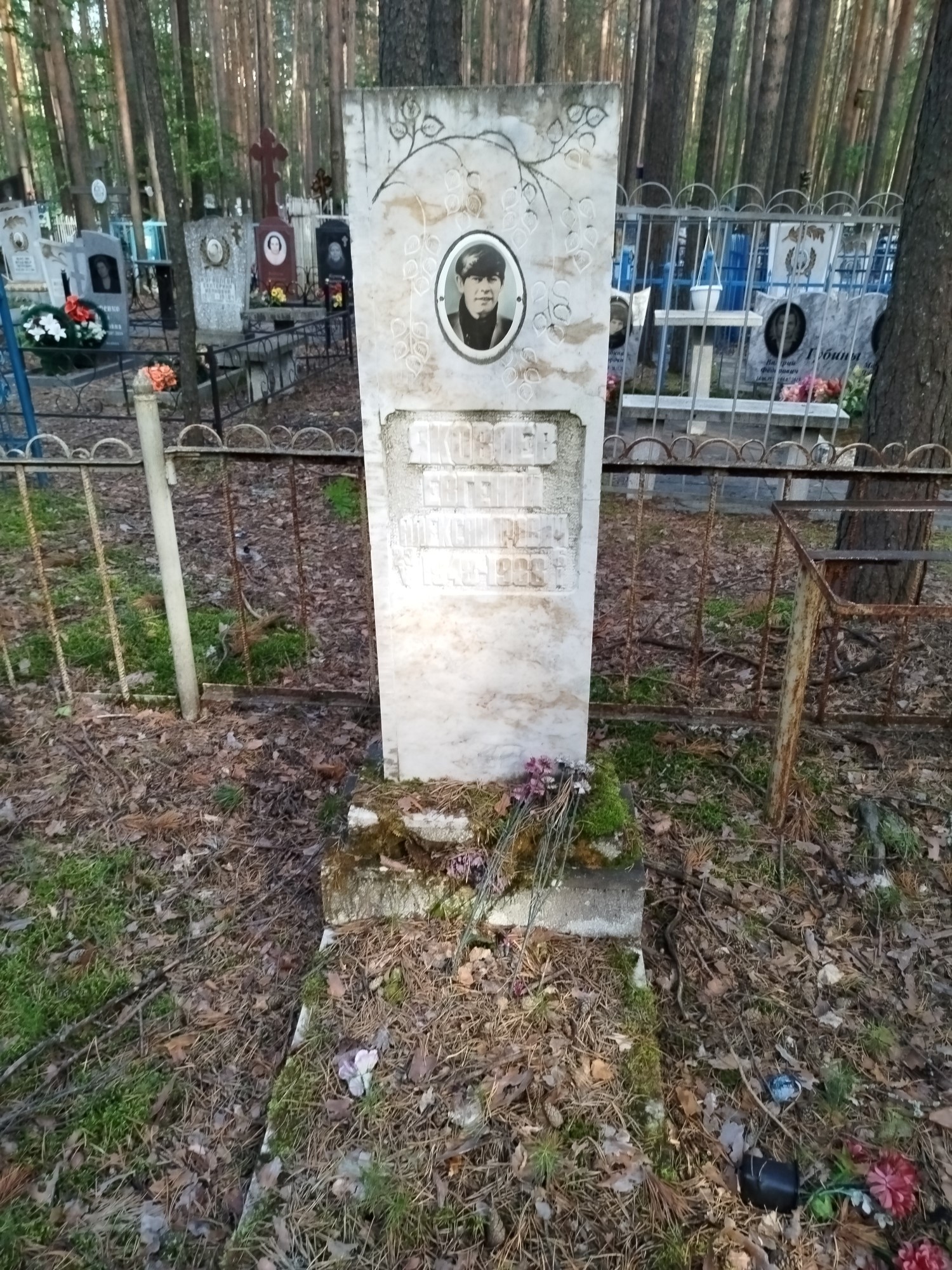 Яковлев Евгений Александрович