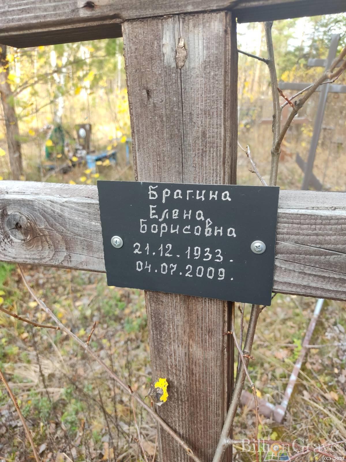 Брагина Елена Борисовна