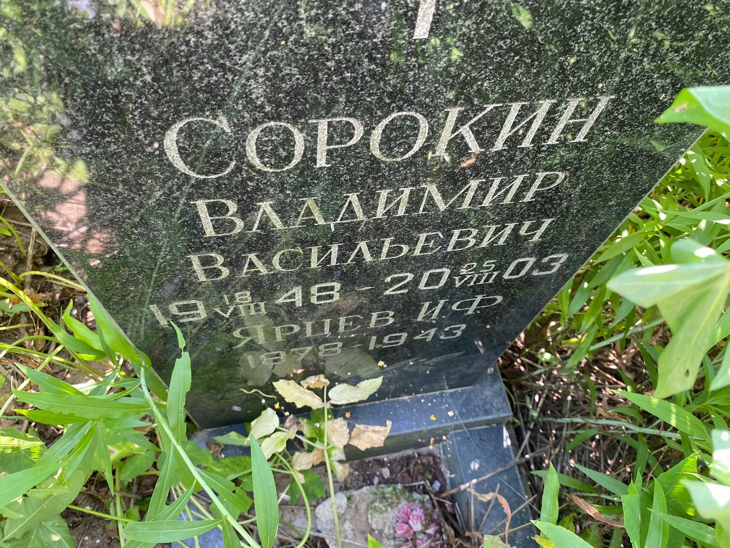Сорокин