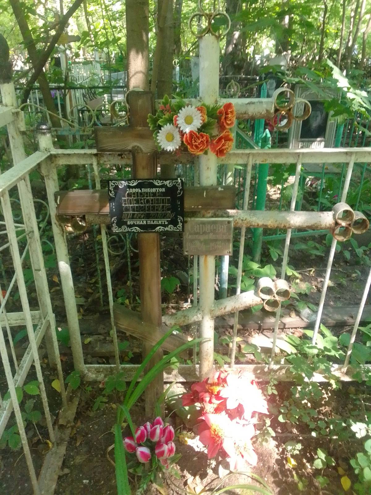 Сараев Александр Сергеевич