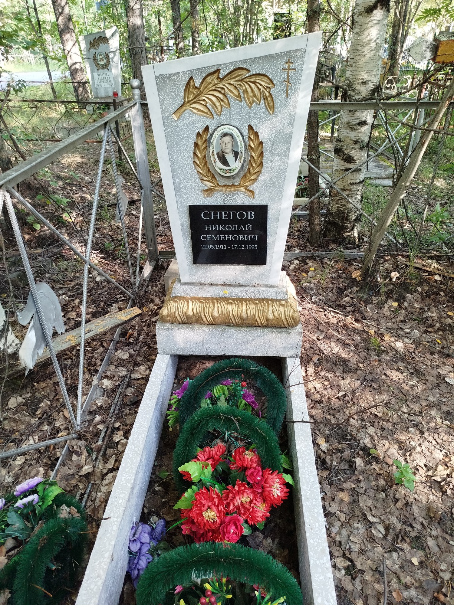 Снегов Николай Семенович
