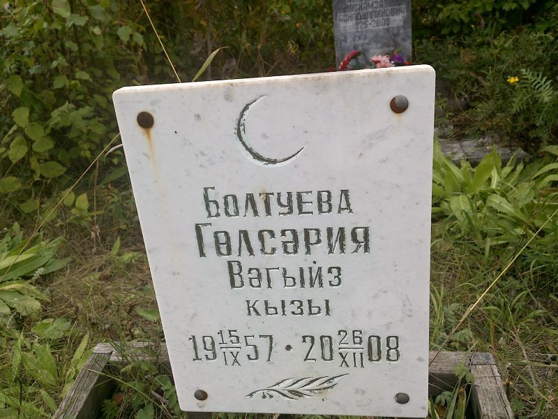 Гулсэрия Болтуева Вэгыйз