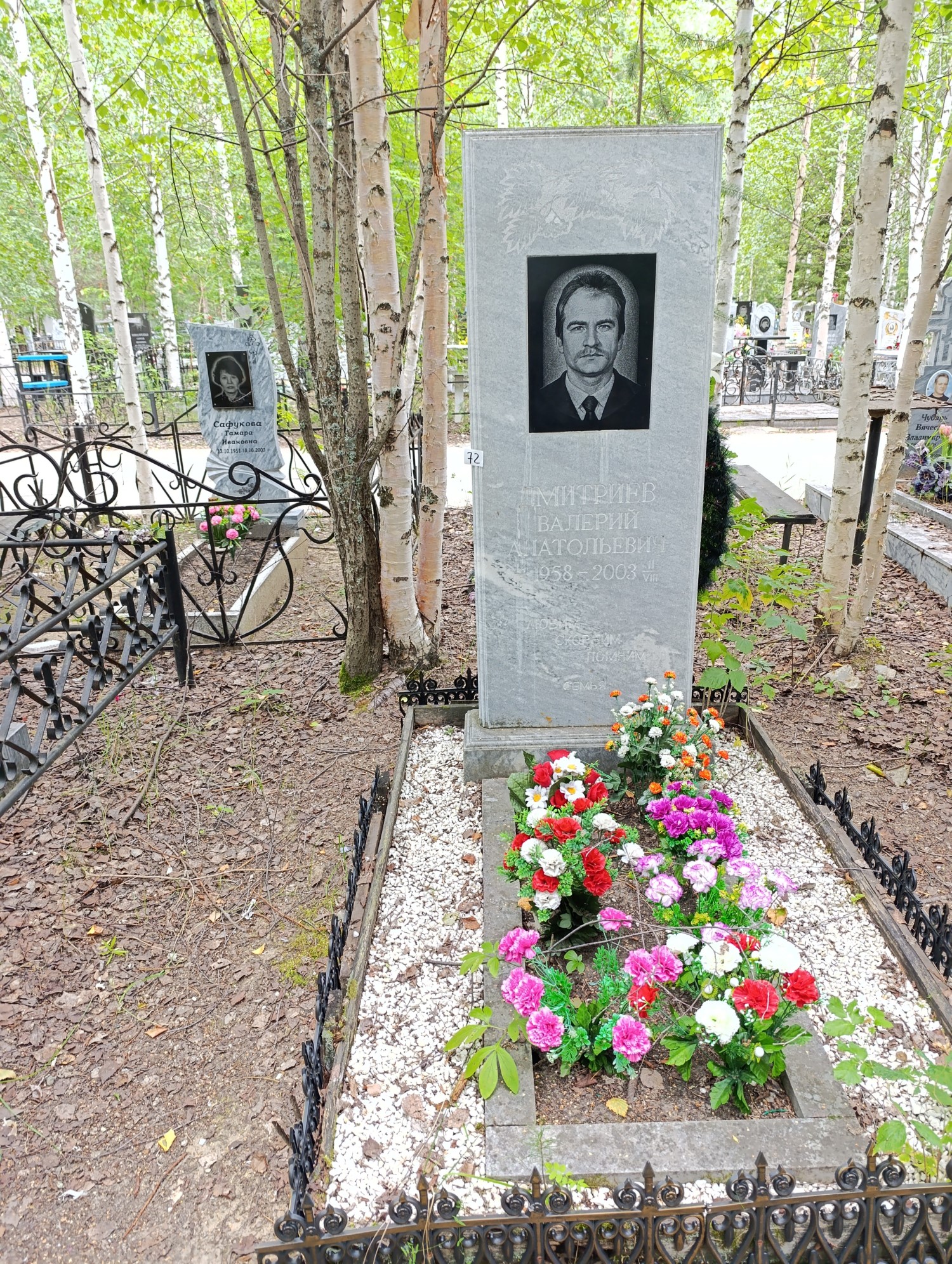 Дмитриев Валерий Анатольевич