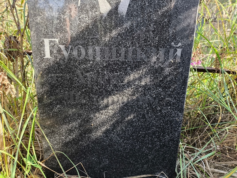 Гуоницкий