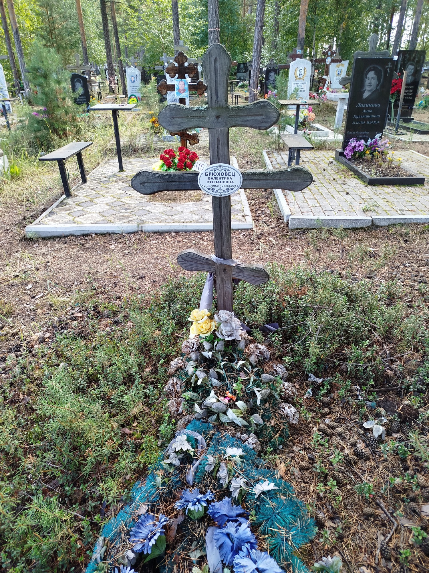 Брюховец Валентина Степановна