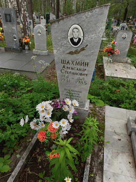 Шахмин Александр Степанович