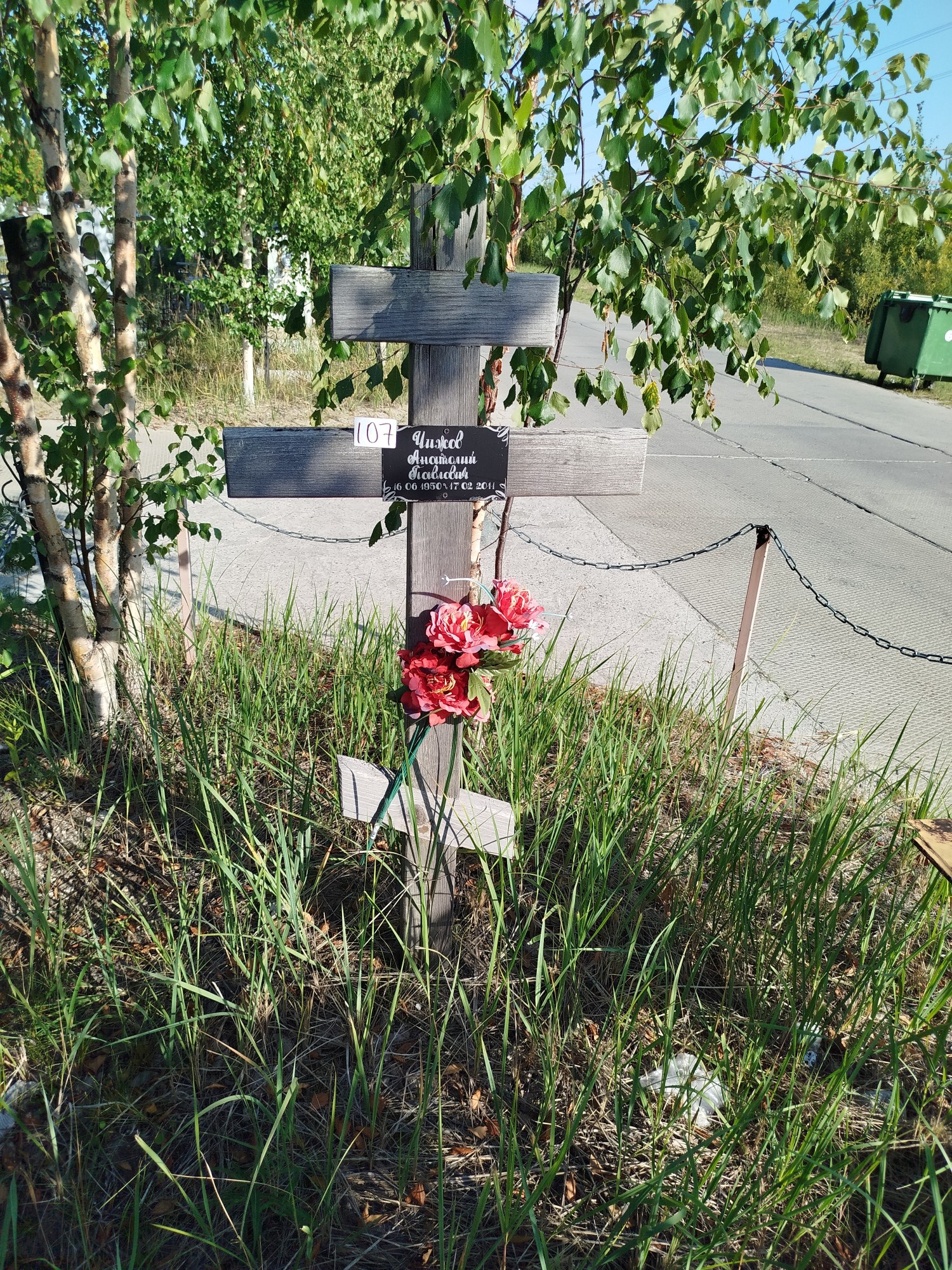 Чижов Анатолий Павлович
