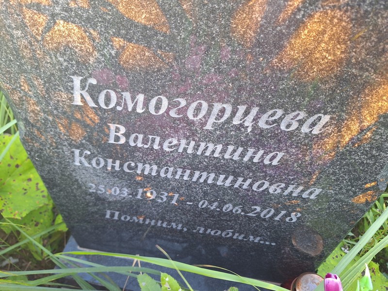 Комогорцева
