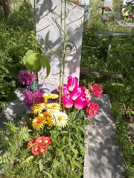Мягкова Валентина Яковлевна