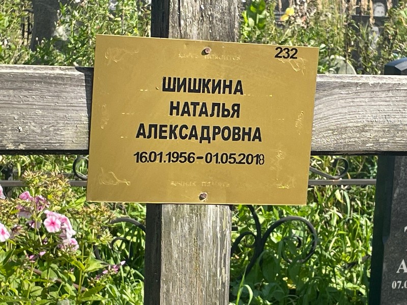Шишкина