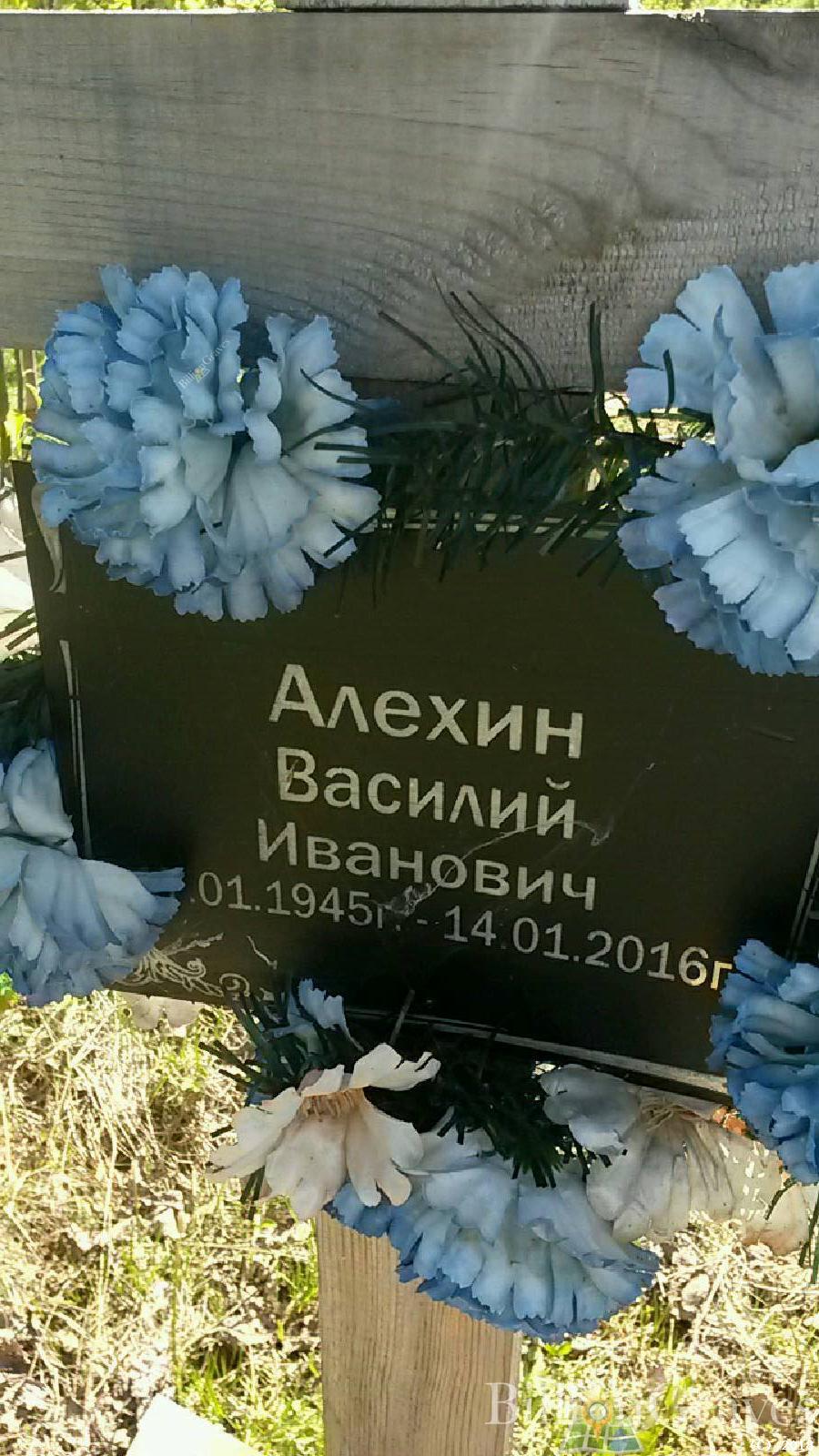Алехин Василий Иванович