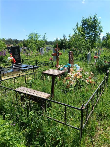 Мелешкевич алёна Павловна