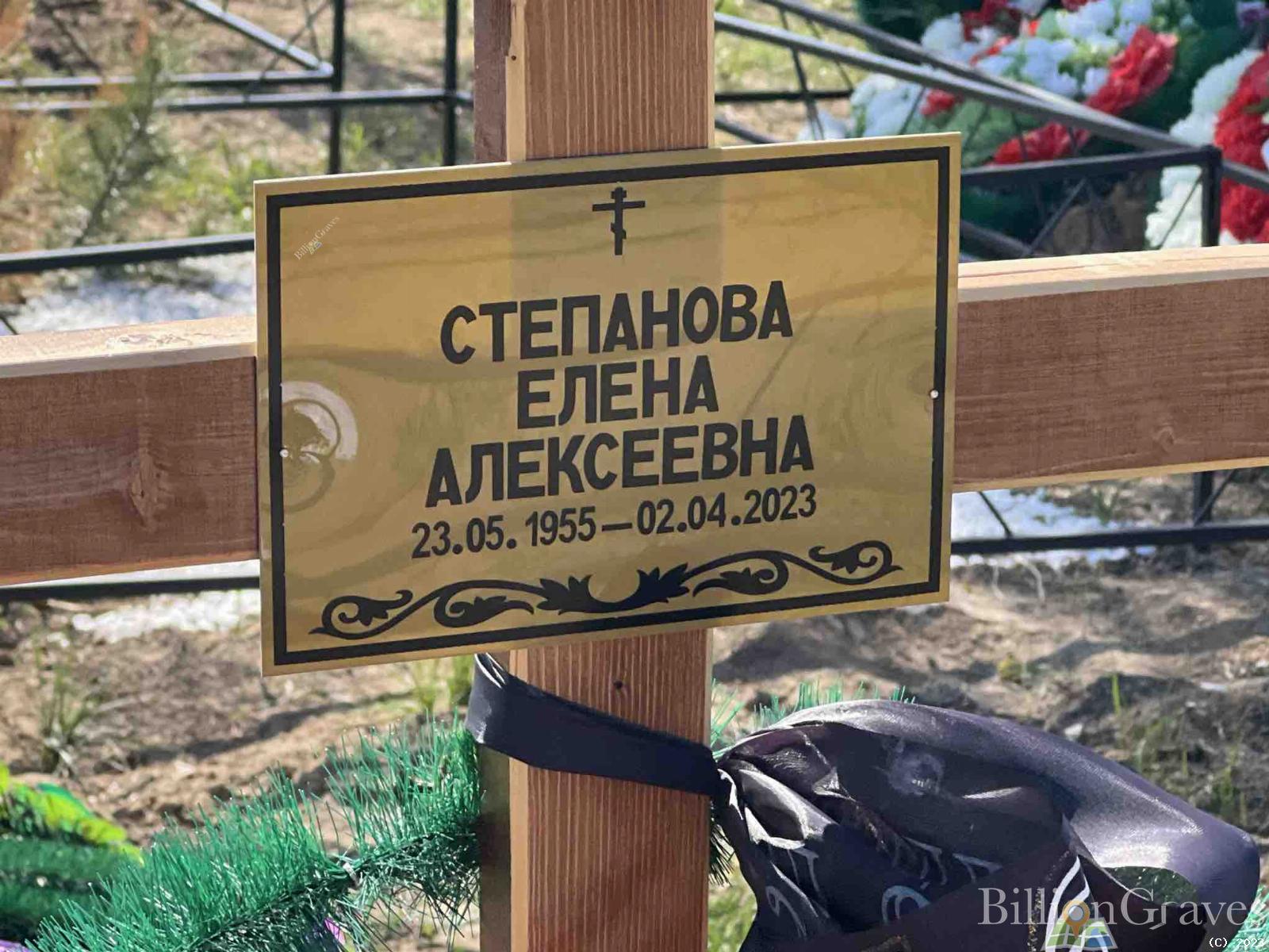 Степанова Елена Алексеевна