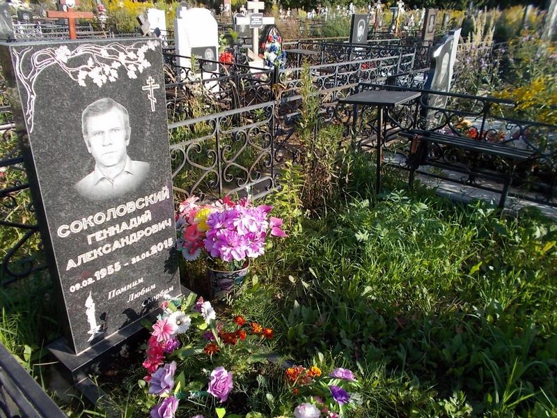 Соколовский Геннадий Александрович