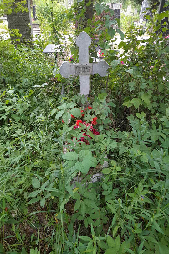 Семенов А. К.