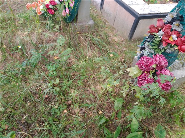 Скрипак Александра Михайловна