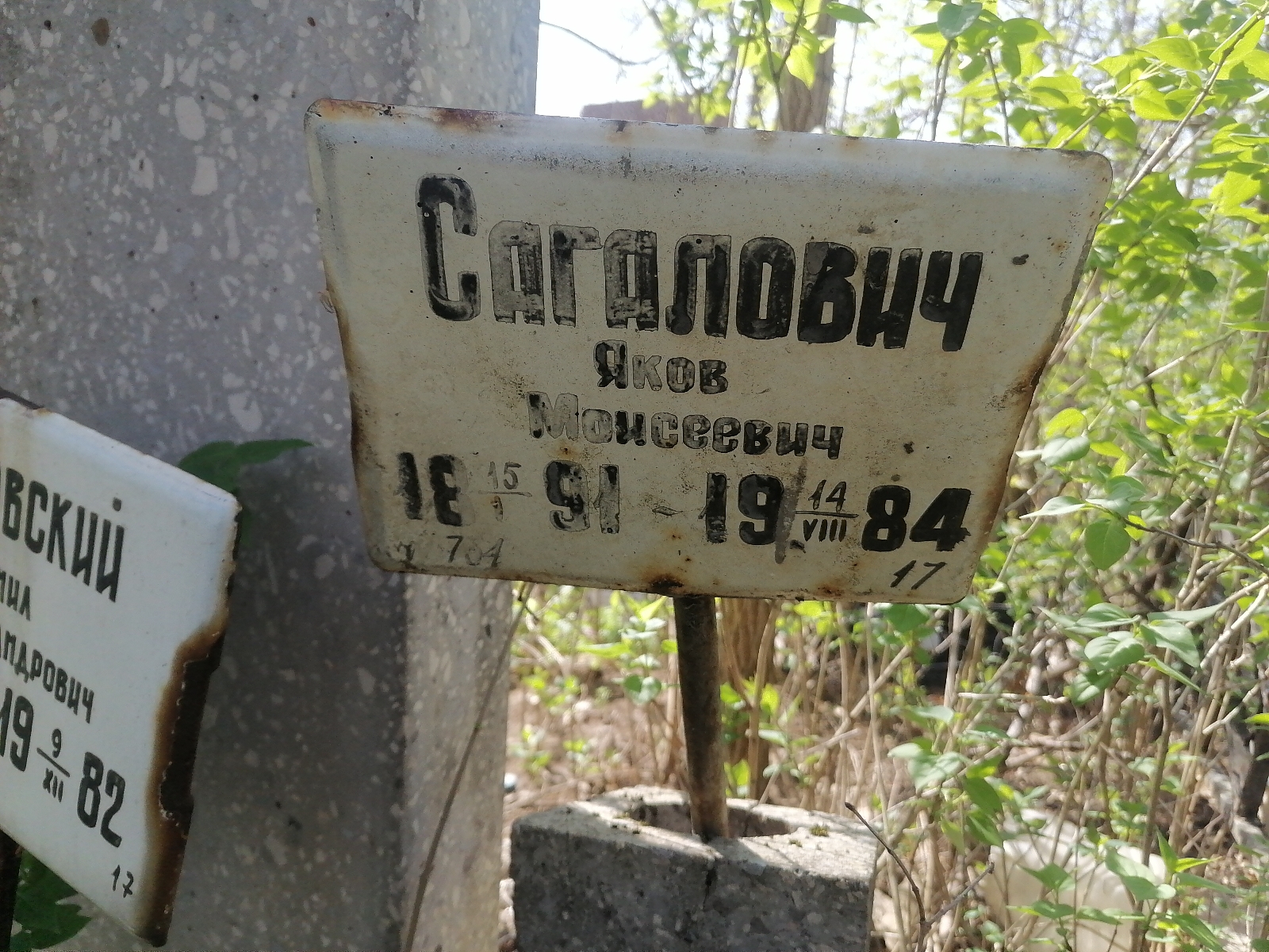 Сагалович Яков Моисеевич