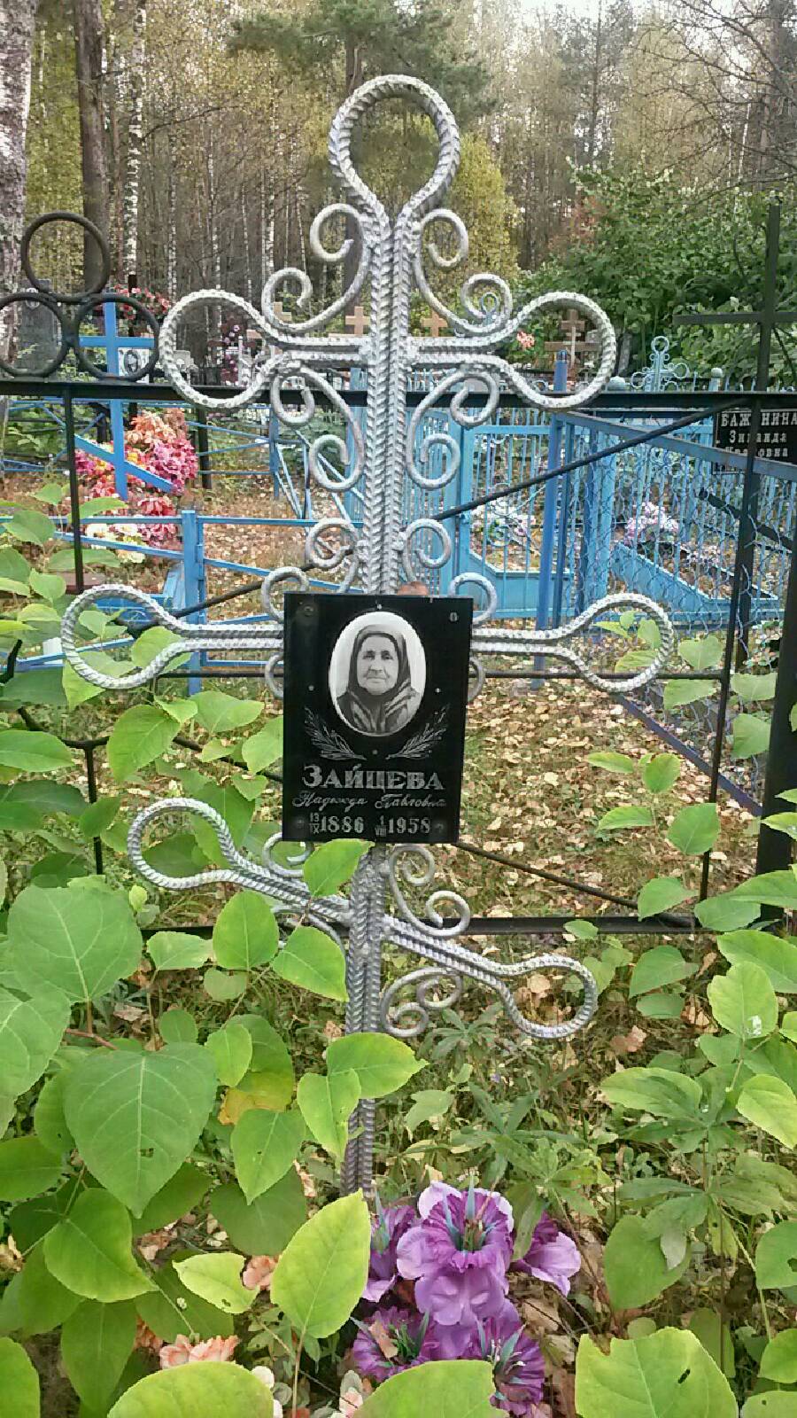 Зайцева Надежда Павловна