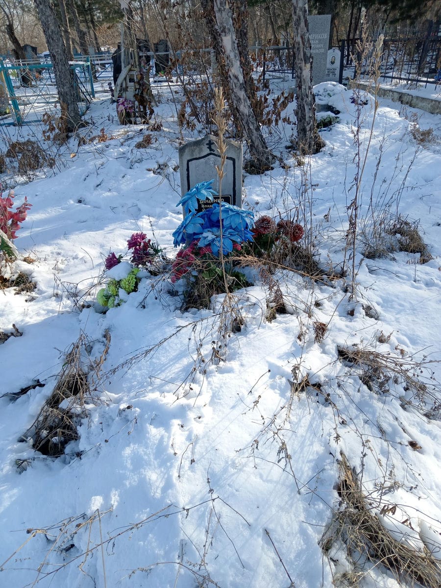 Доценко Владимир Иванович
