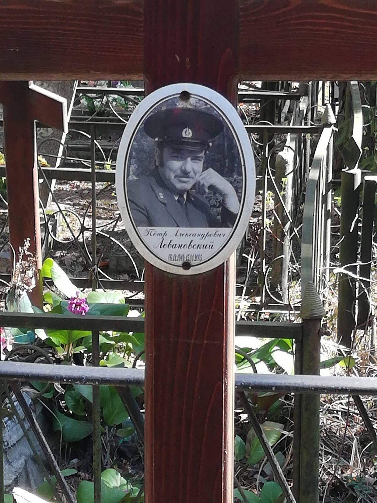 Левановский Петр Александрович