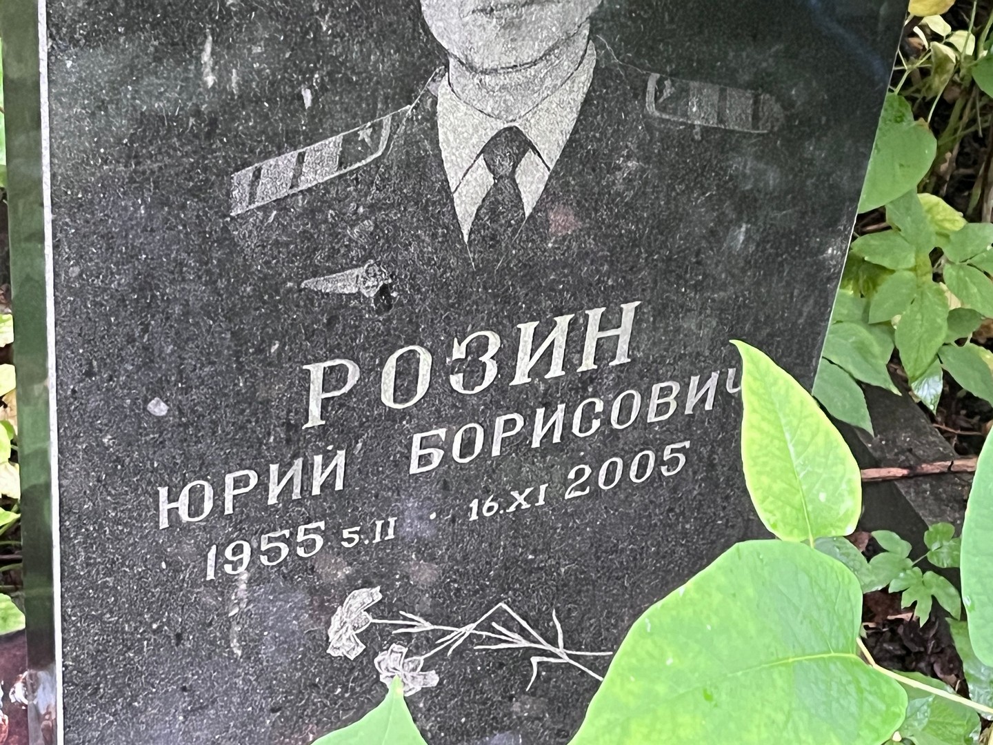 Розин