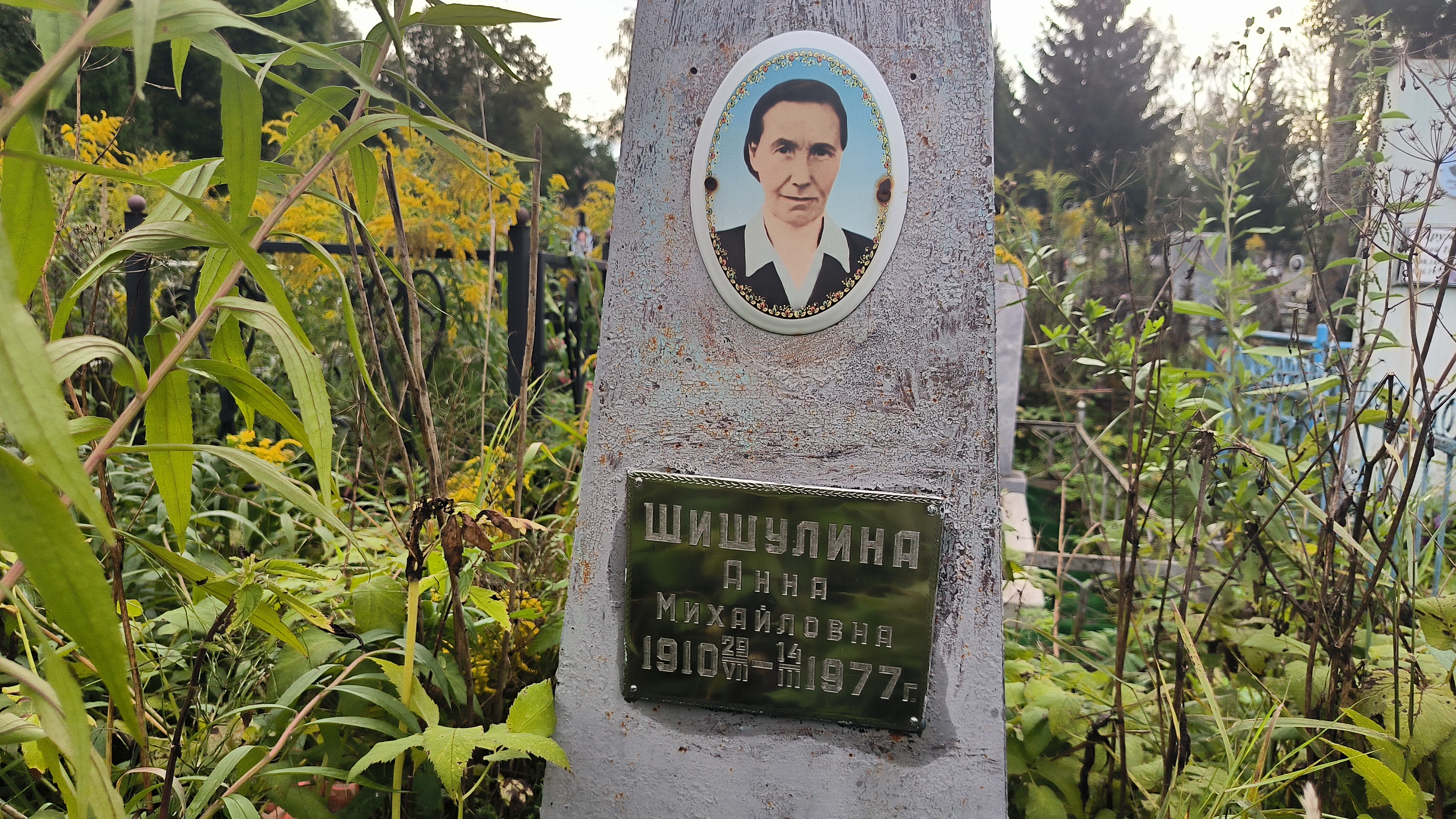 Шишулина Анна Михайловна