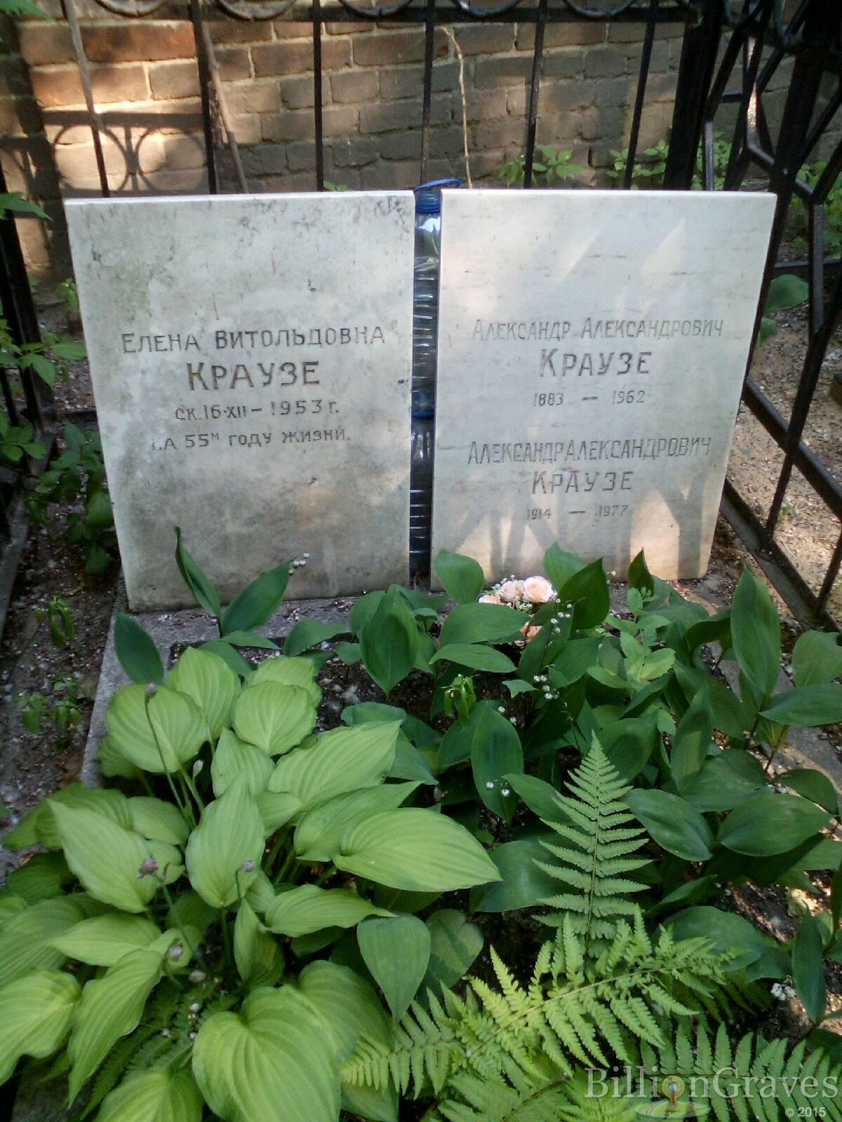 краузе елена витольдовна
