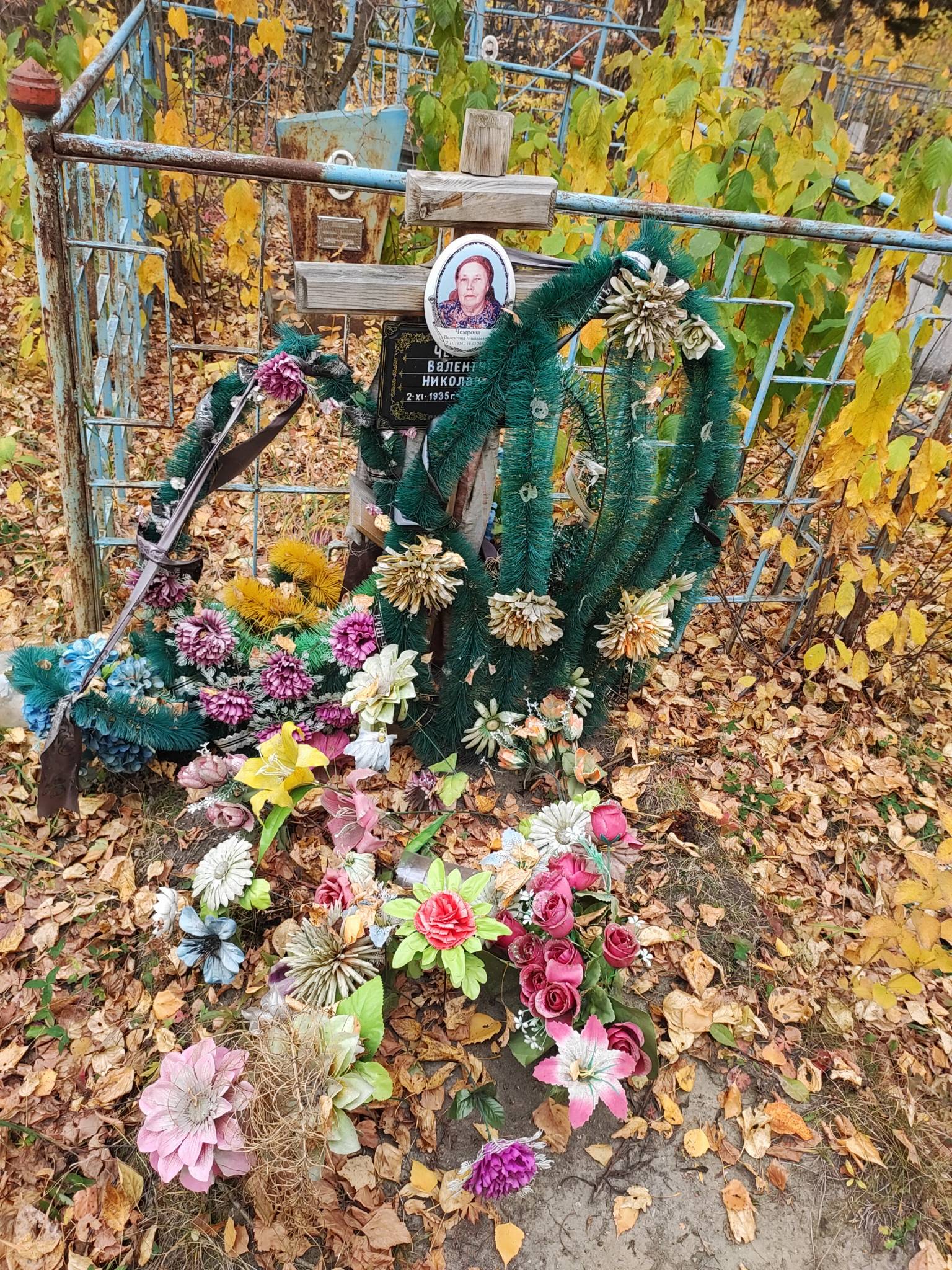 Чемрова Валентина Николаевна