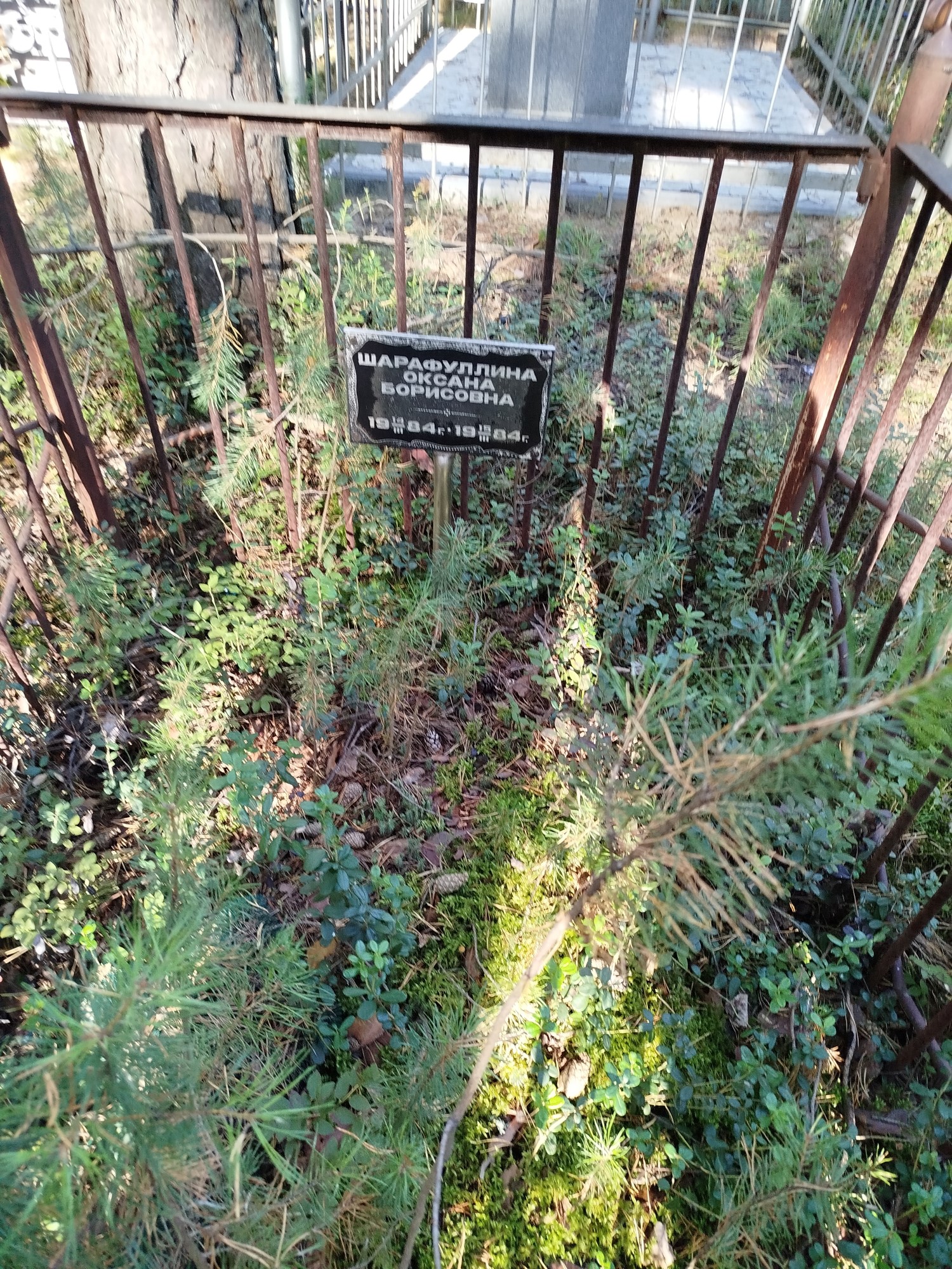 Шарафуллина Оксана Борисовна