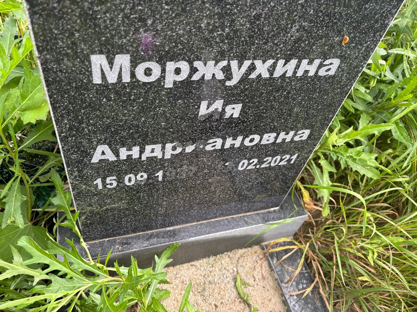 Ия Моржухина Андриановна