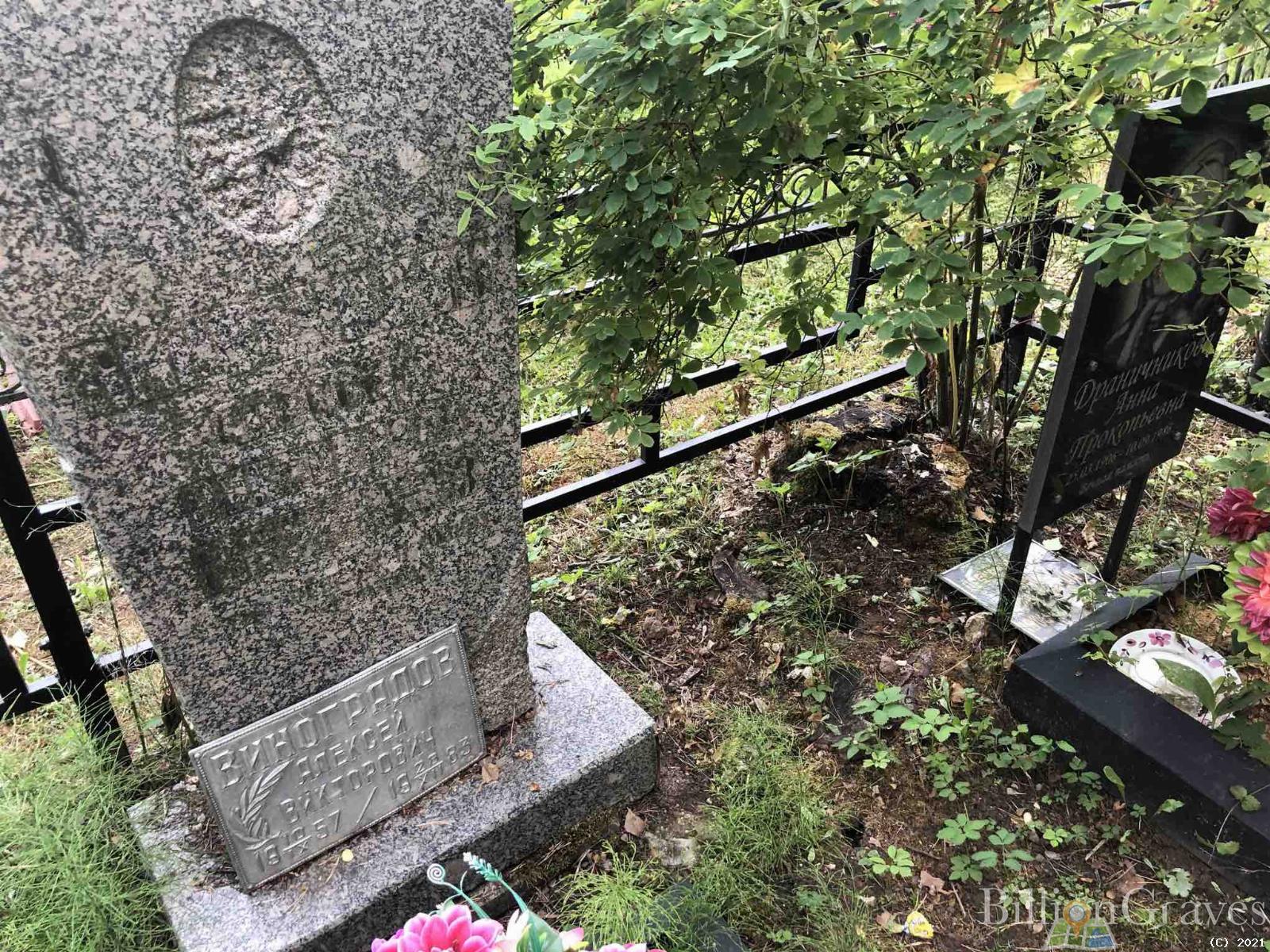 Виноградов Алексей Викторович