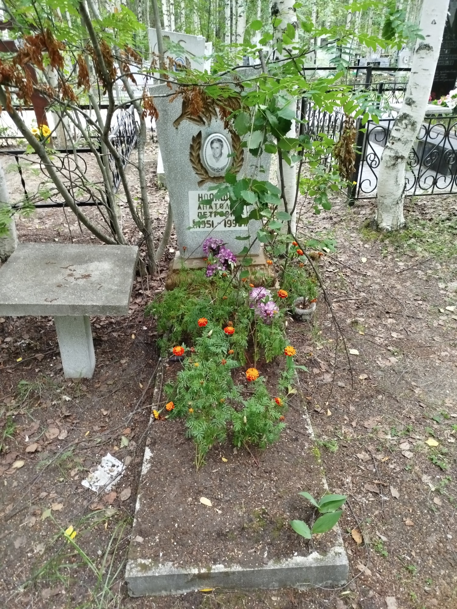 Ноякшев Анатолий Петрович