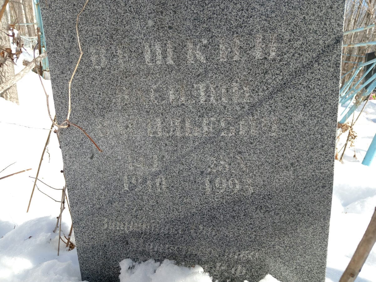 Вешкин Василий Ильич