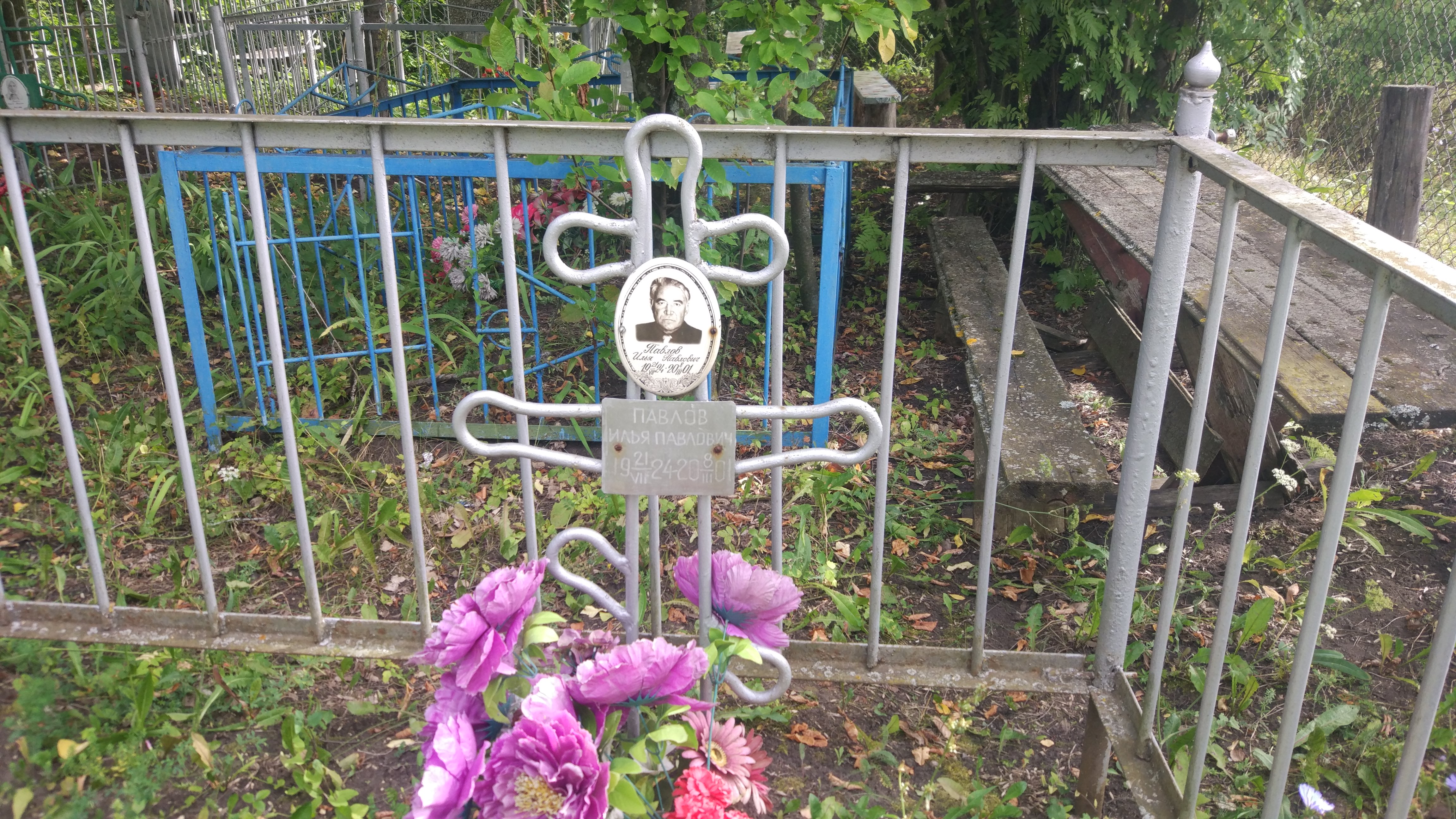 Павлов Илья Павлович
