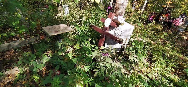 Викторова Валентина Андреевна