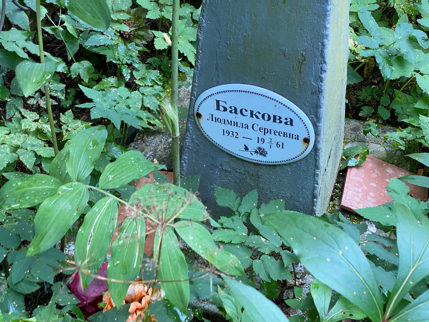 Баскова